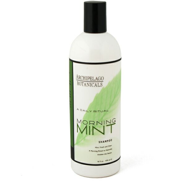 Archipelago Botanicals Morning Mint Shampoo
